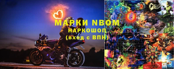 прущая мука Арсеньев