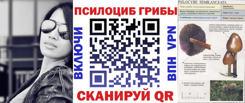 Галлюциногенные грибы мицелий  Белая Холуница 